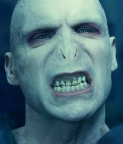 http://bathnbody.craftgossip.com/files/2010/09/voldemort2.jpg