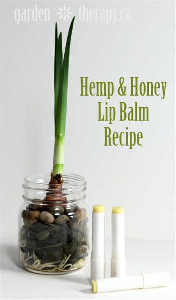 Hemp-and-Honey-Lip-Balm-Recipe (1)