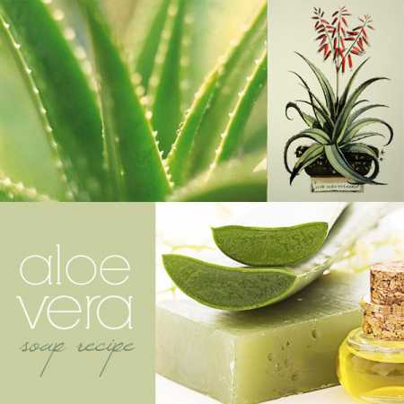 aloe-vera-soap-recipe1