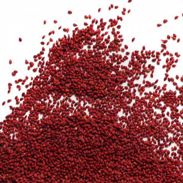 CranberrySeeds_SEED01_Main_A