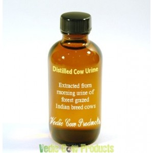 distilled-cow-urine