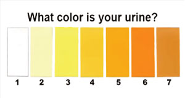 7-Urine-Colors-That-Can-Tell-You-Important-Things