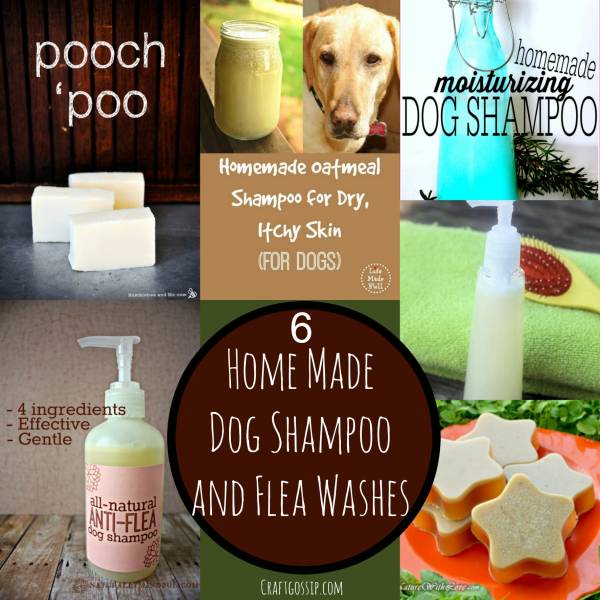 home-made-dog-shampoo-wash-flea-protection-care-dry-skin