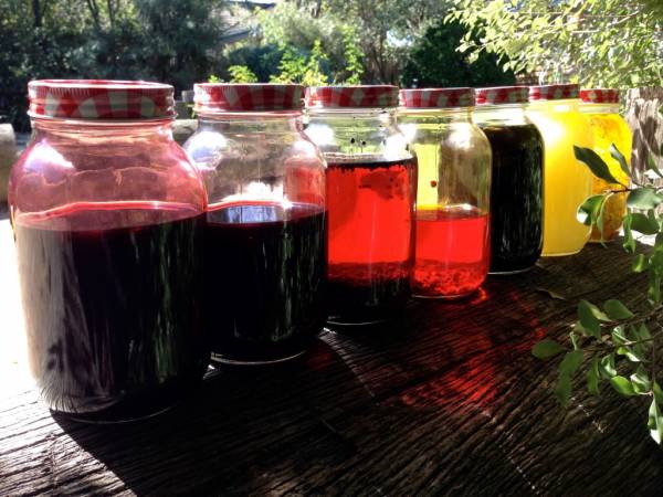 jo-haslauer-natural-infusions-1024x768