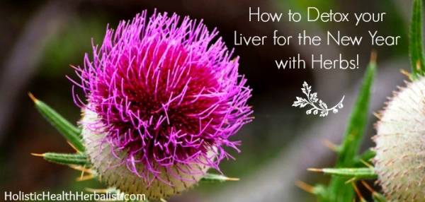 How-to-Detox-your-Liver-for-the-New-Year-with-Herbs