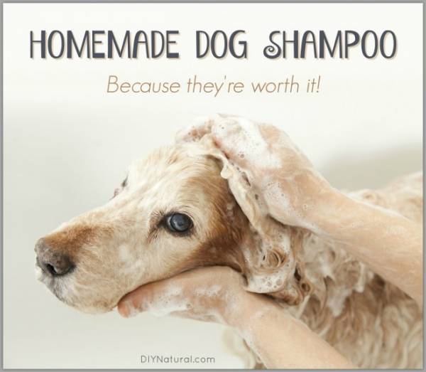 Homemade-Dog-Shampoo-660x575