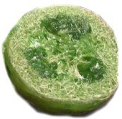 cucumber-loofah