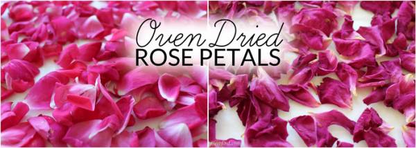 How-to-Dry-Rose-Petals-Bren-Did1