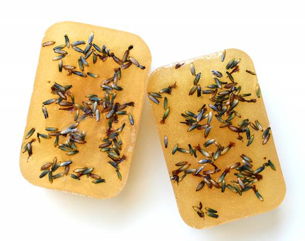 diy-lavender-honey-soap